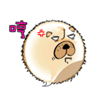 Funny Chow Chow for Life（個別スタンプ：12）