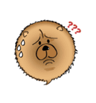 Funny Chow Chow for Life（個別スタンプ：15）