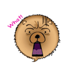 Funny Chow Chow for Life（個別スタンプ：19）