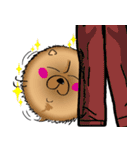 Funny Chow Chow for Life（個別スタンプ：22）