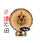 Funny Chow Chow for Life（個別スタンプ：27）