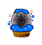 Funny Chow Chow for Life（個別スタンプ：37）