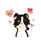 Border Collie~Bei（個別スタンプ：1）