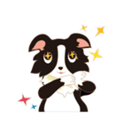 Border Collie~Bei（個別スタンプ：2）