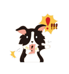 Border Collie~Bei（個別スタンプ：5）