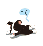 Border Collie~Bei（個別スタンプ：9）