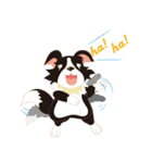 Border Collie~Bei（個別スタンプ：10）