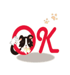 Border Collie~Bei（個別スタンプ：12）