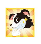 Border Collie~Bei（個別スタンプ：18）