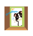 Border Collie~Bei（個別スタンプ：24）