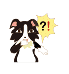 Border Collie~Bei（個別スタンプ：28）