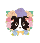 Border Collie~Bei（個別スタンプ：29）