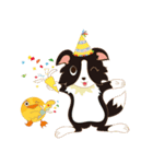 Border Collie~Bei（個別スタンプ：31）