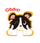 Border Collie~Bei（個別スタンプ：33）