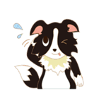 Border Collie~Bei（個別スタンプ：38）