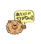 Mr.チャウチャウ（個別スタンプ：1）