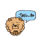 Mr.チャウチャウ（個別スタンプ：27）