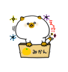 箱入りねこ（個別スタンプ：1）