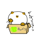 箱入りねこ（個別スタンプ：3）