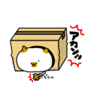 箱入りねこ（個別スタンプ：13）