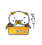 箱入りねこ（個別スタンプ：36）