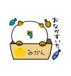 箱入りねこ（個別スタンプ：38）