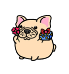 Joy's French Bulldog World（個別スタンプ：30）