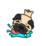 Joy's Pug World (3)（個別スタンプ：39）