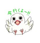 文鳥模様（個別スタンプ：11）