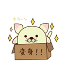 ハコねこ（個別スタンプ：9）