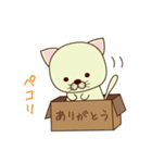 ハコねこ（個別スタンプ：15）