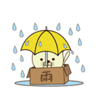 ハコねこ（個別スタンプ：21）