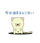 ハコねこ（個別スタンプ：37）