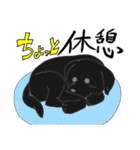 黒ラブらぶ（個別スタンプ：35）