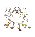 文鳥デイズ（個別スタンプ：34）