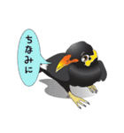 九ちゃんの接続詞（個別スタンプ：26）