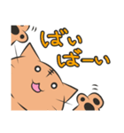 伝えるねこスタンプ（個別スタンプ：8）