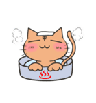 伝えるねこスタンプ（個別スタンプ：39）