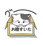 捨猫ニャリの日常（個別スタンプ：16）