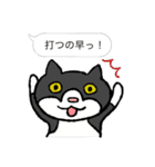 ブサ猫シリーズ ロマとマロ ふきだし編（個別スタンプ：9）