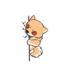 Shiba HATI BowBow（個別スタンプ：21）