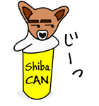 Shiba CAN ＆ Tora CAN 1（個別スタンプ：30）