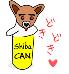 Shiba CAN ＆ Tora CAN 1（個別スタンプ：37）