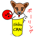 Shiba CAN ＆ Tora CAN 1（個別スタンプ：38）