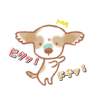 開運犬びっちゃん（個別スタンプ：5）