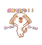 開運犬びっちゃん（個別スタンプ：20）