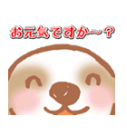 開運犬びっちゃん（個別スタンプ：39）