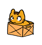 Orange Kitty - Buru（個別スタンプ：21）