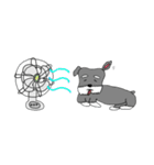 Chatting with Schnauzer（個別スタンプ：23）