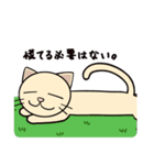 ねこぬこスタンプ（個別スタンプ：9）